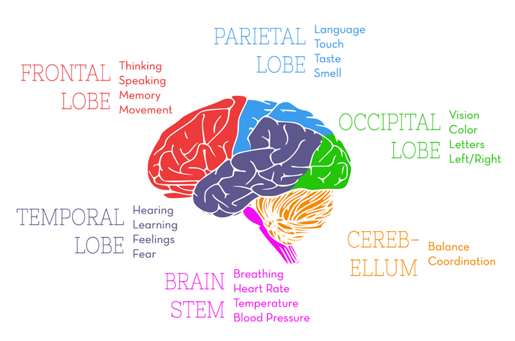 Music Therapy for Alzheimer's | The Power of Active Listening